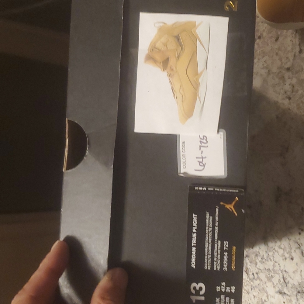 Air jordan true flight